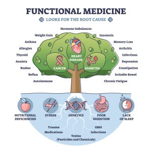 Functional,Medicine,As,Disease,Treatment,With,Looks,For,Root,Cause